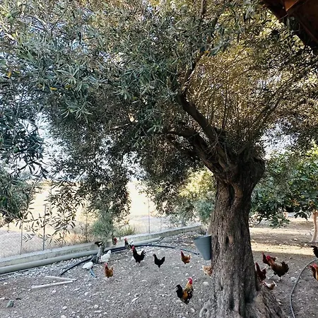 Ferienhaus House In Maroni